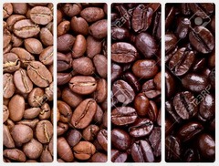Sản xuất/Gia công Cà phê hạt rang